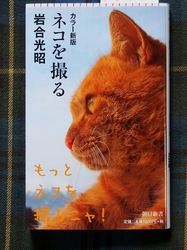 本・「猫を撮る」岩合光昭.jpg