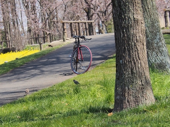 自転車のある風景.jpg